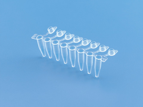 Maxiamp 0.2 ml Tube Strips with Attached Cap